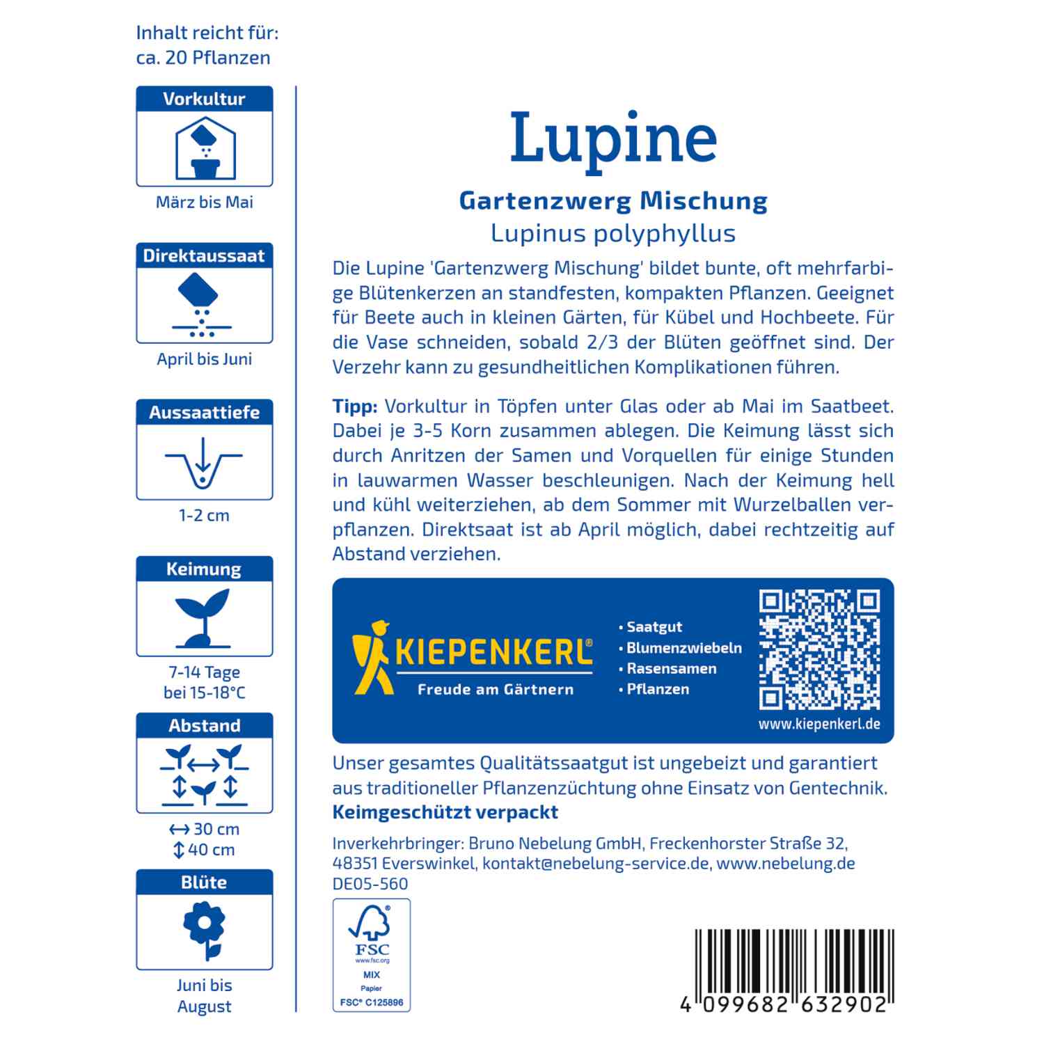 Lupinen 'Gartenzwerg'