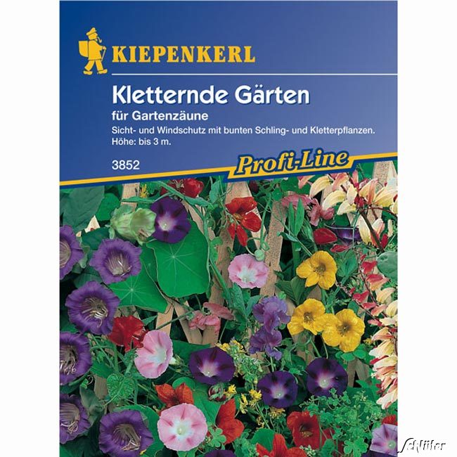 Kategorie <b>Zwiebel- und Knollenstauden </b> - Schlingpflanzen-Mischung -