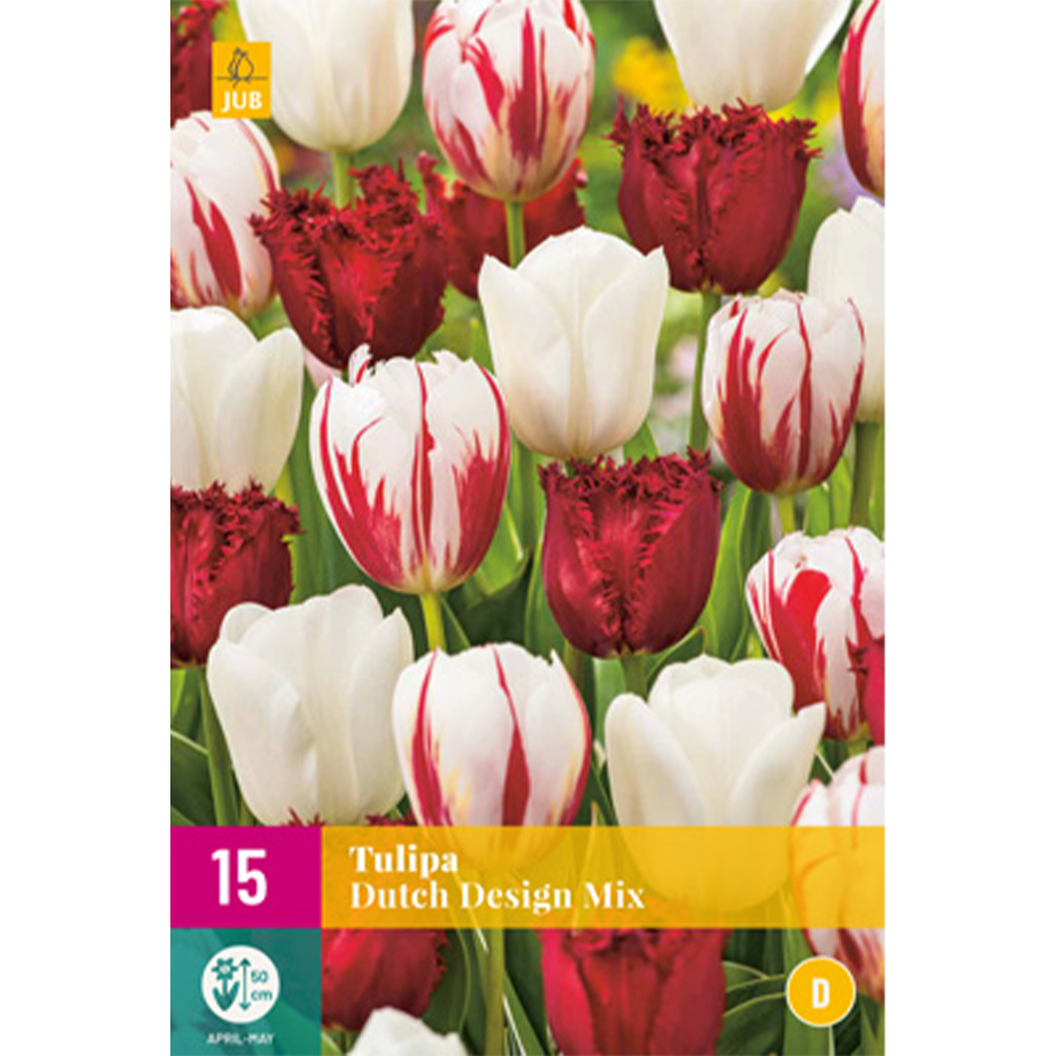 Tulpen Mischung 'Dutch Design Mix' - 15 Stück Liefergröße: Zwiebelgröße 11/12