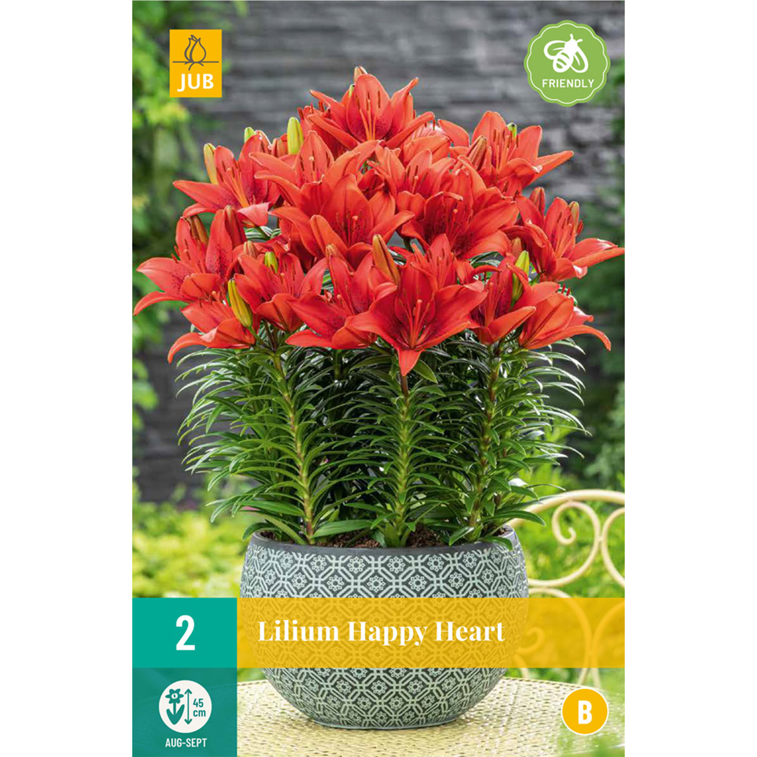 Asiatische Topflilie 'Happy Heart', 2 Stück Liefergröße: Zwiebelumfang 14 - 16 cm
