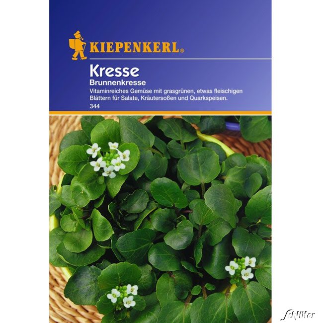 Brunnenkresse Lieferform: Portionssaatgut