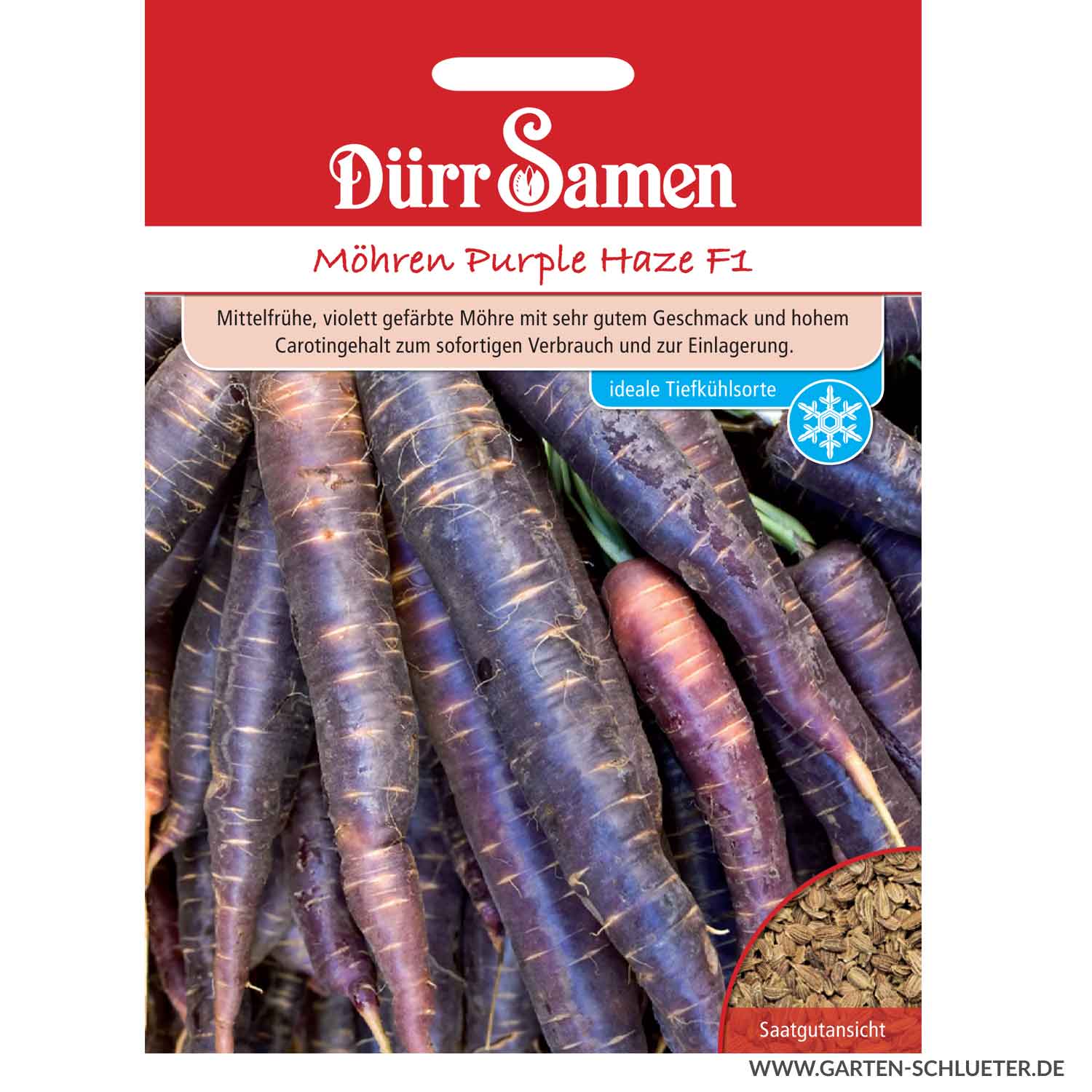 Schwarze Urmöhre 'Purple Haze' Portionssaatgut Lieferform: Portionssaatgut