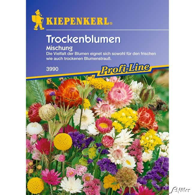 Trockenblumen-Mischung Lieferform: Portionssaatgut