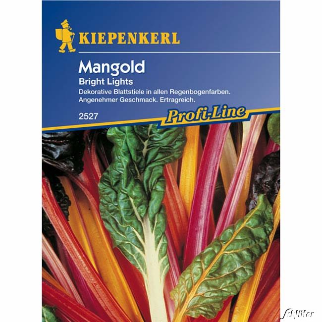 Mangold 'Bright Lights' Lieferform: Portionssaatgut