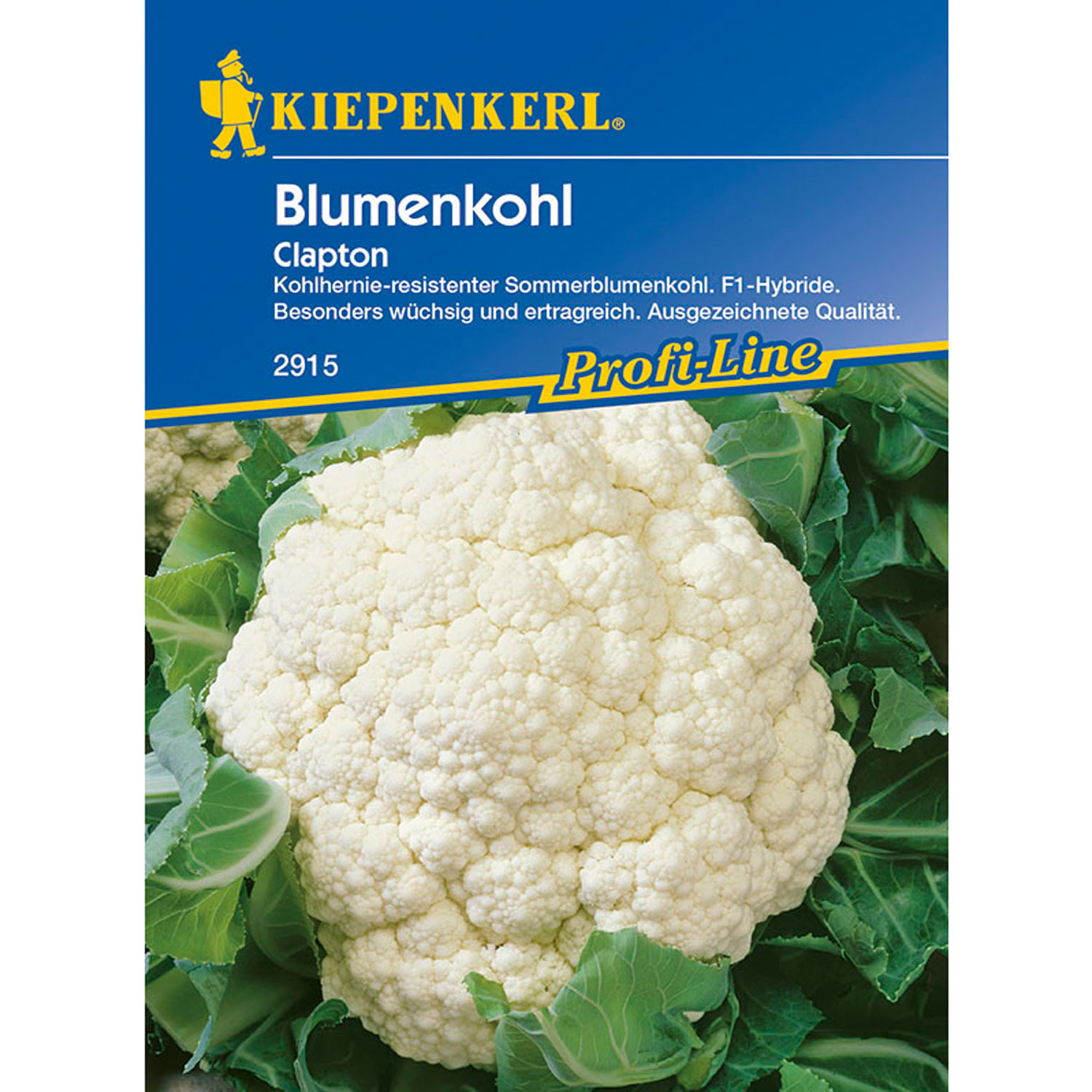 Blumenkohl 'Clapton' Lieferform: Portionssaatgut