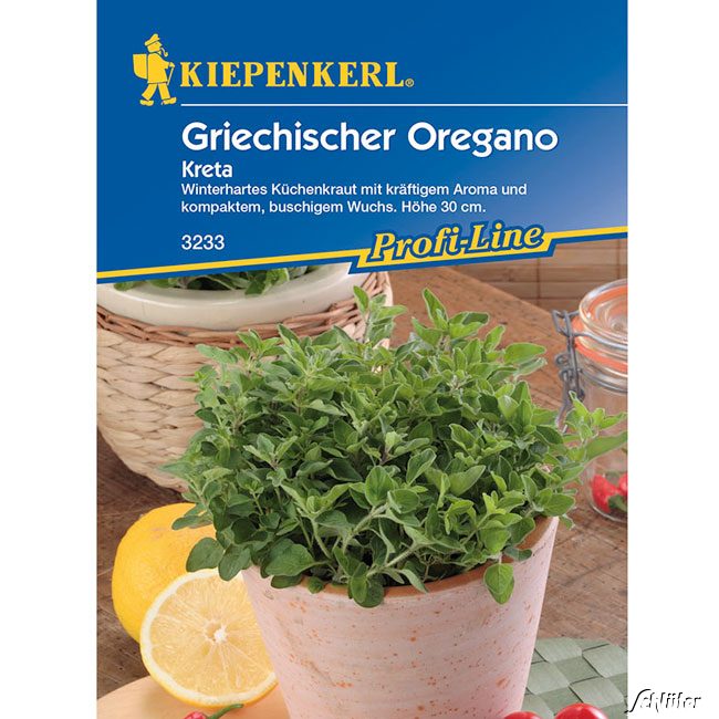 Griechischer Oregano 'Kreta' Lieferform: Portionssaatgut