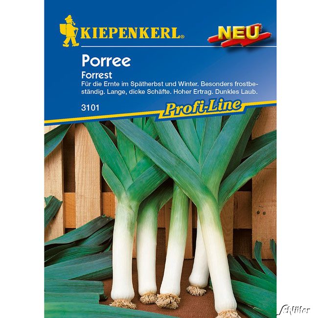 Porree 'Forrest' Lieferform: Portionssaatgut