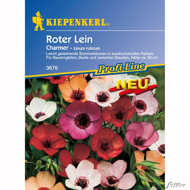 Roter Lein 'Charmer' Lieferform: Portionssaatgut