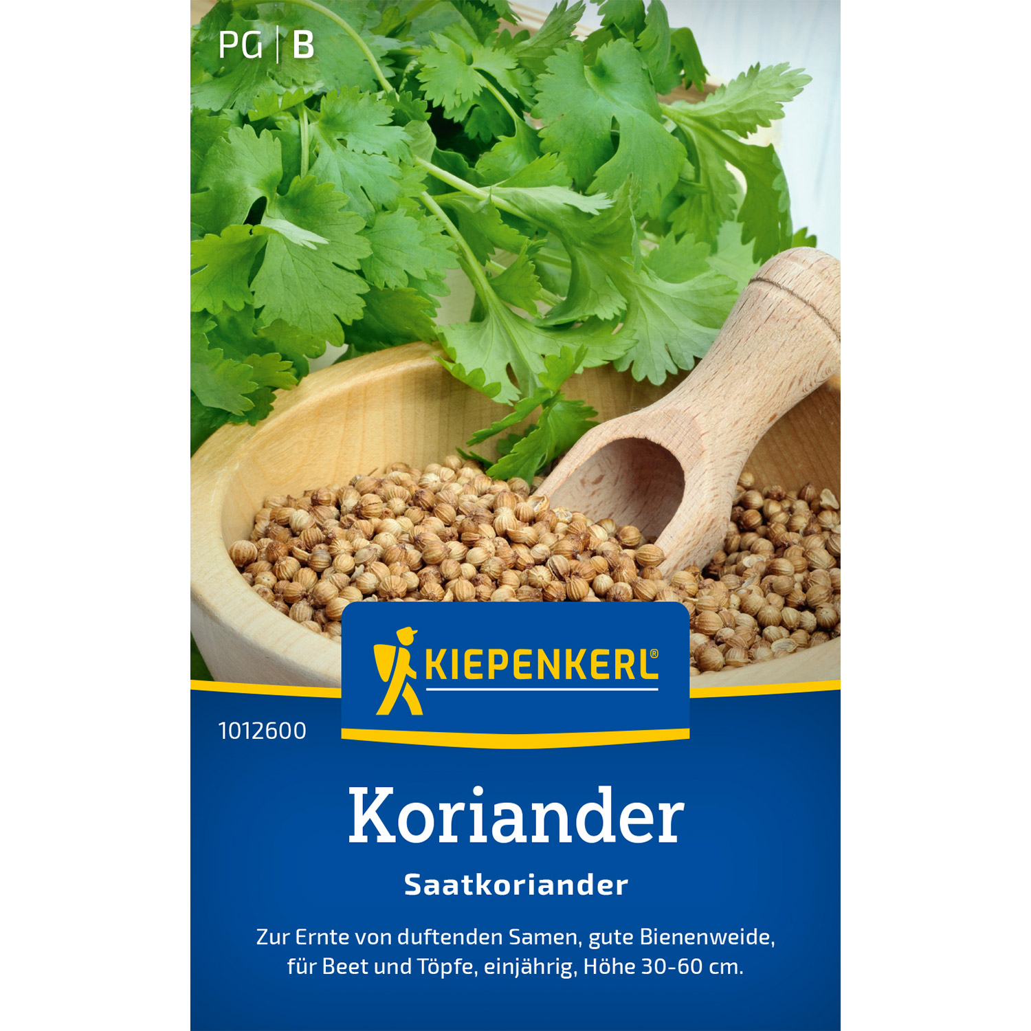 Koriander Lieferform: Portionssaatgut