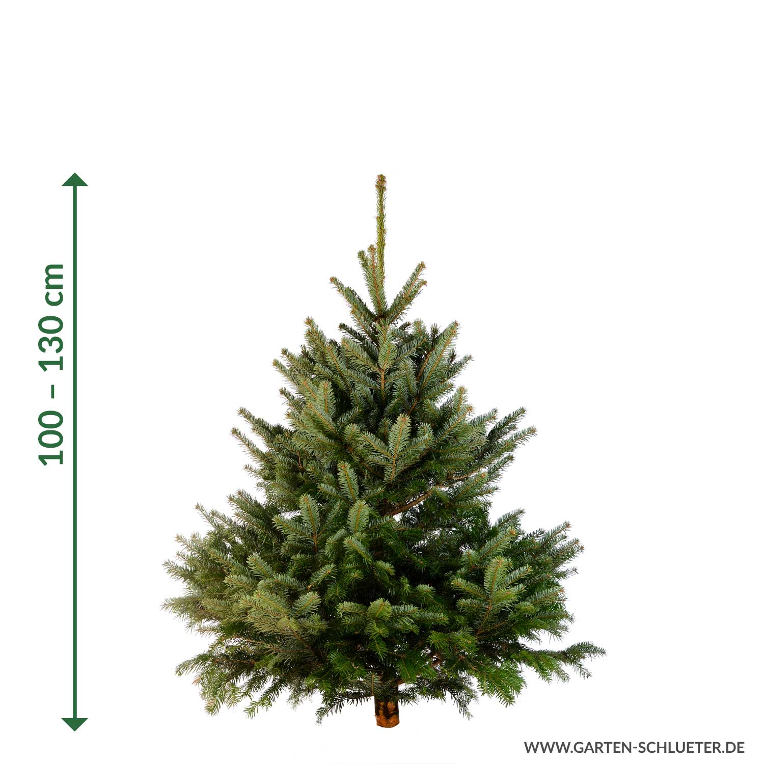 Weihnachtsbaum