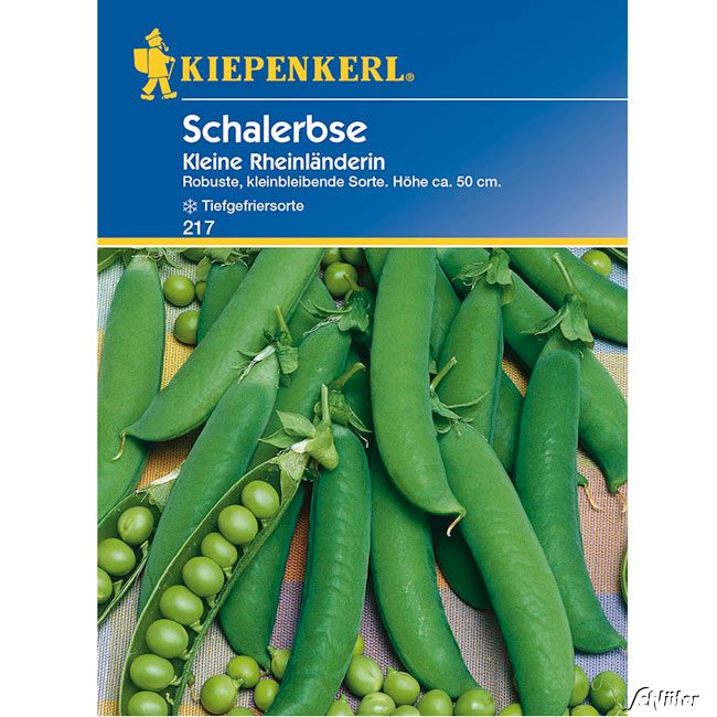 Schalerbse 'Kleine Rheinländerin' Portionssaatgut, für ca. 10 lfd. Meter Lieferform: Portionssaatgut
