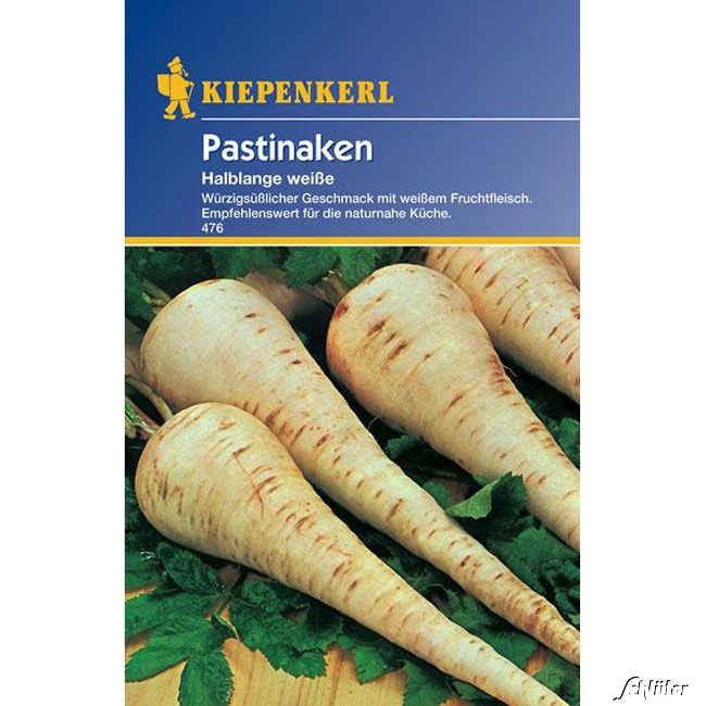Pastinaken 'Halblange Weiße' Lieferform: Portionssaatgut