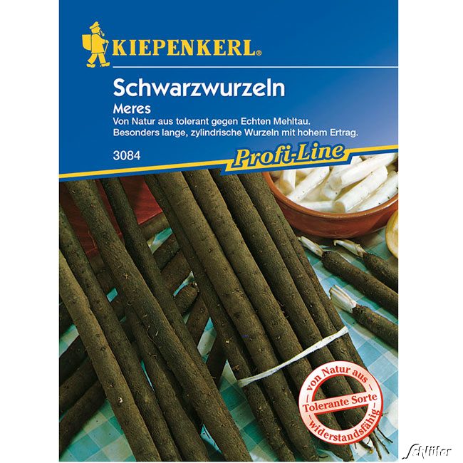 Schwarzwurzel 'Meres' Lieferform: Portionssaatgut