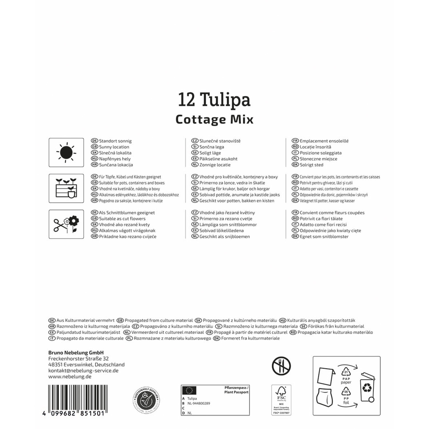 Einfache späte Tulpe 'Cottage- Mischung' - 12 Stück