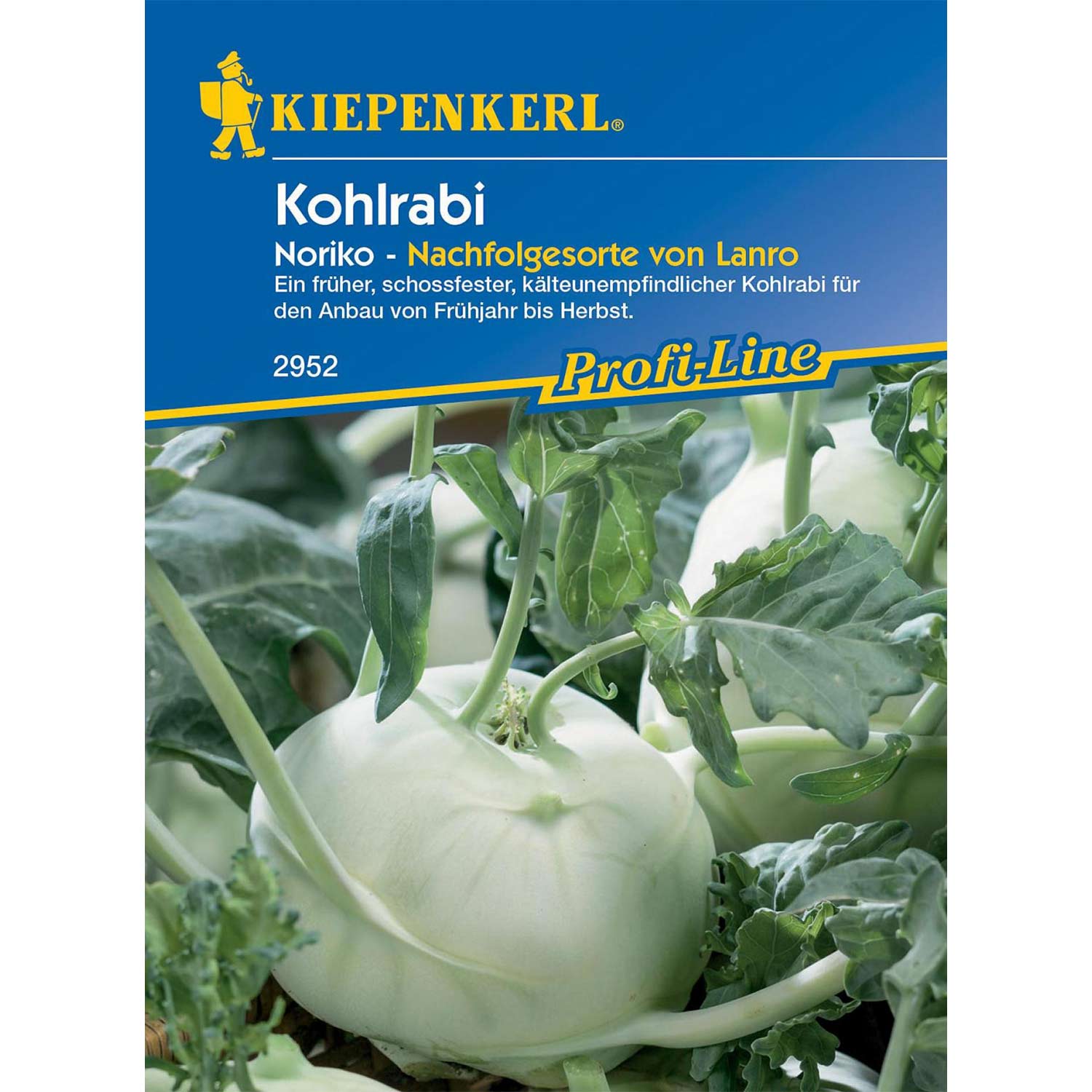 Kohlrabi 'Noriko' Lieferform: Portionssaatgut