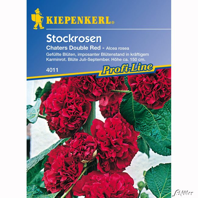Stockrosen 'Chaters Double Red' Lieferform: Portionssaatgut