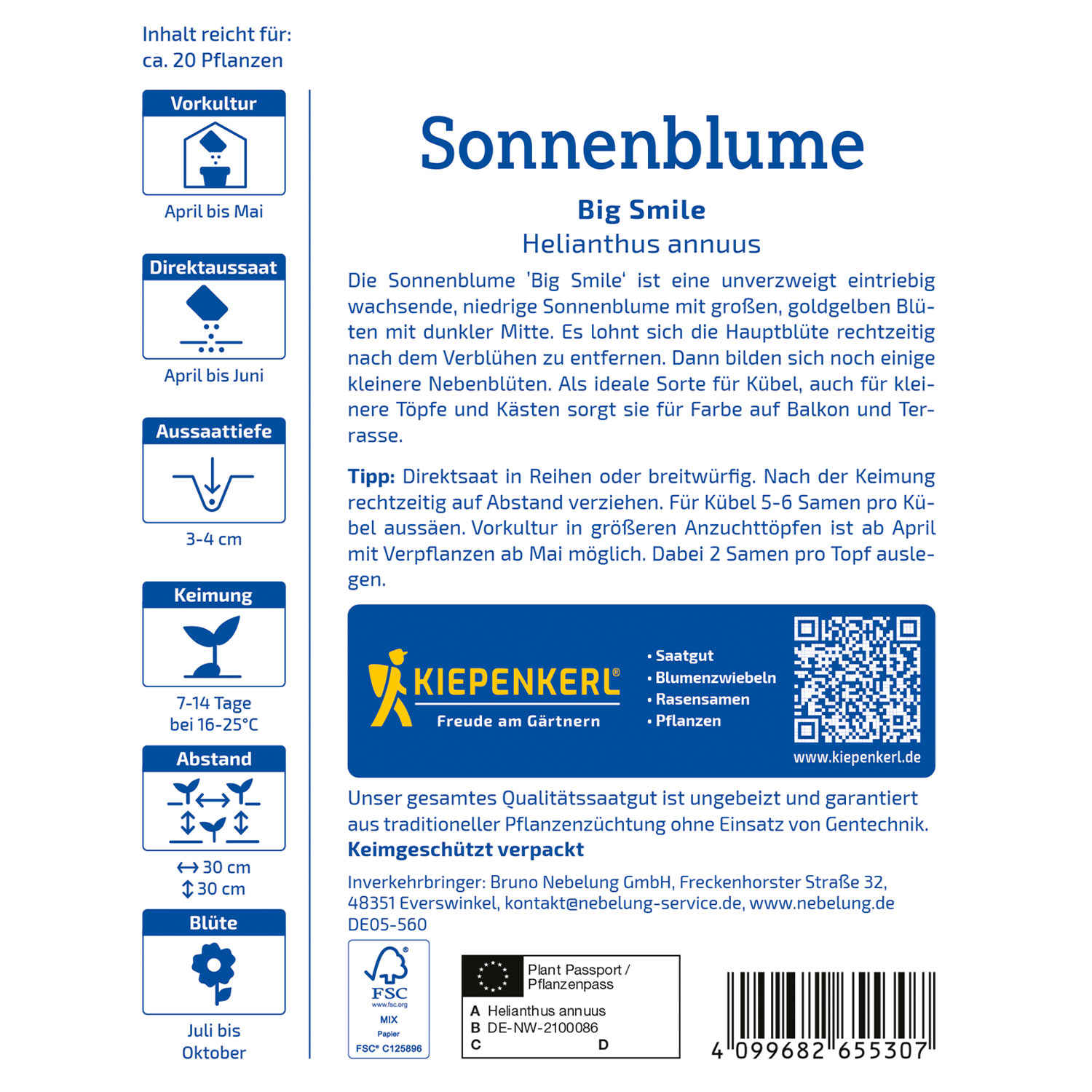 Zwerg-Sonnenblume 'Big Smile'