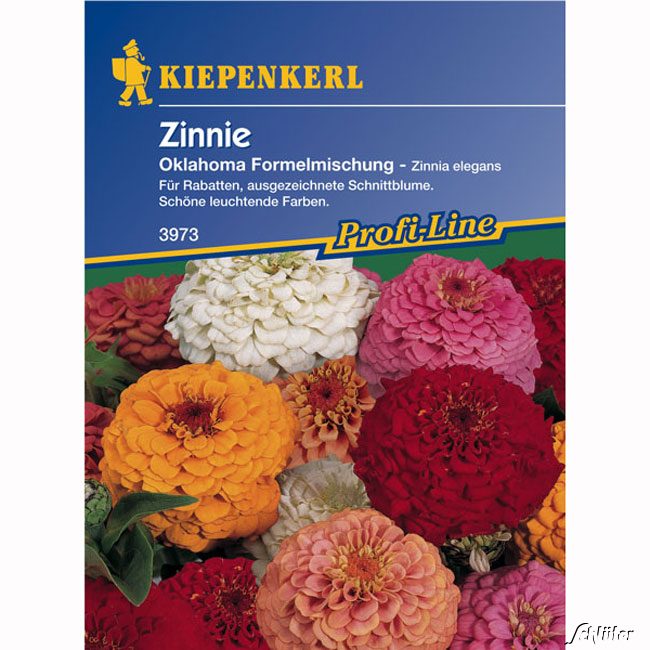 Zinnien 'Oklahoma' (Mischung) Lieferform: Portionssaatgut
