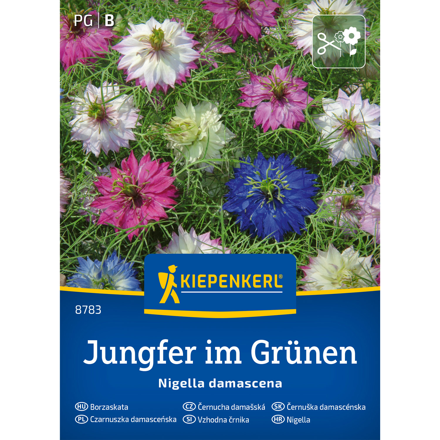 Nigella | Jungfer im Grünen
