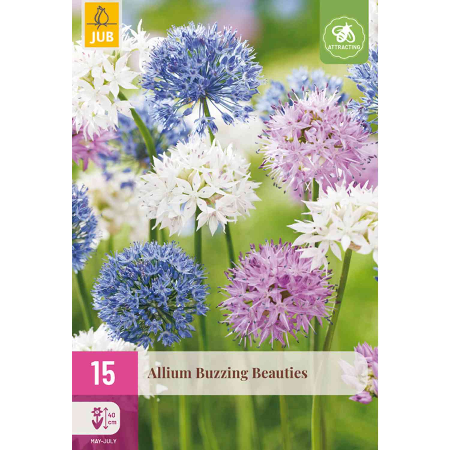 Allium-Mix 'Buzzing Beauties®' - 15 Stück