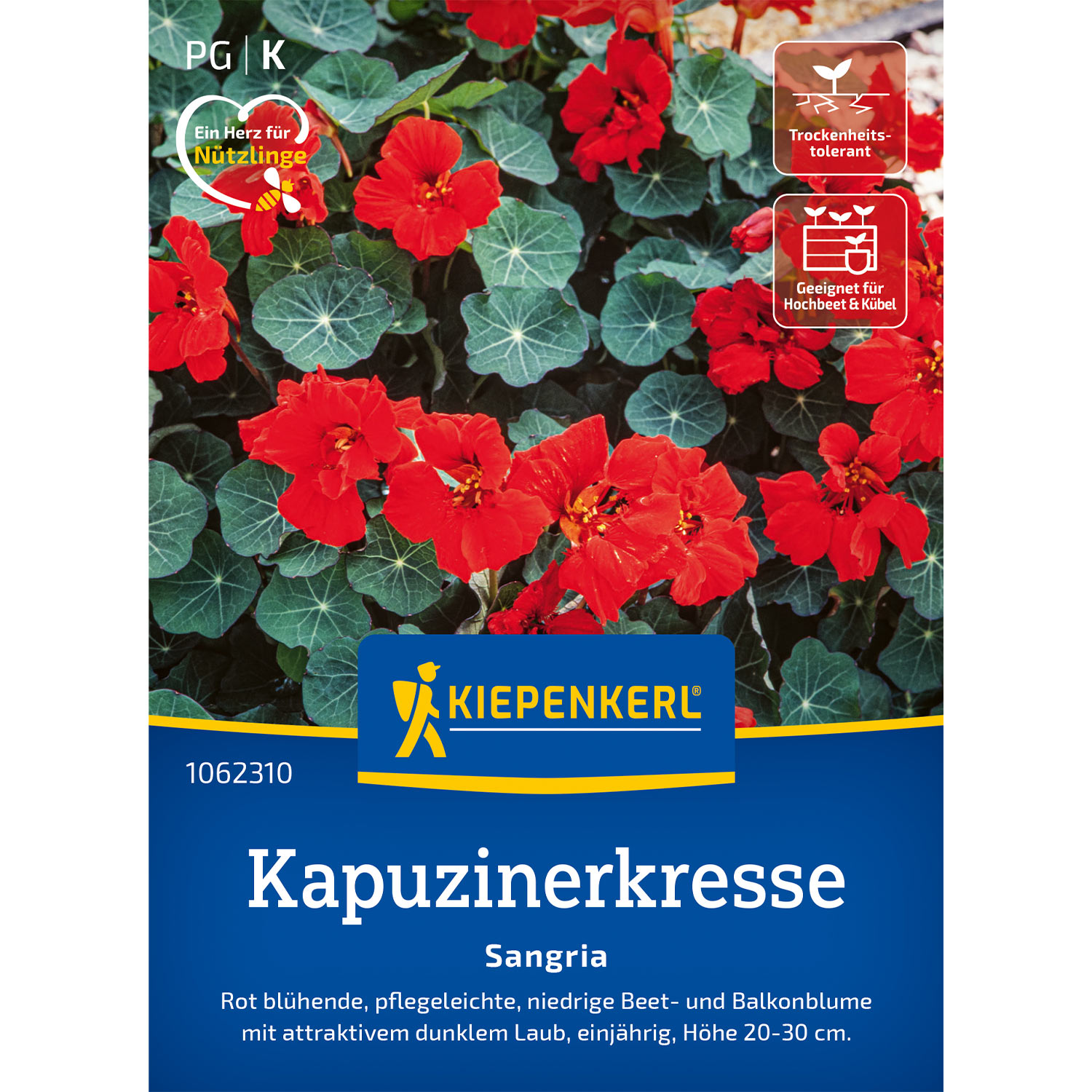 Kategorie <b>Zwiebel- und Knollenstauden </b> - Kapuzinerkresse 'Sangria' Lieferform: Portionssaatgut - Tropaeolum majus
