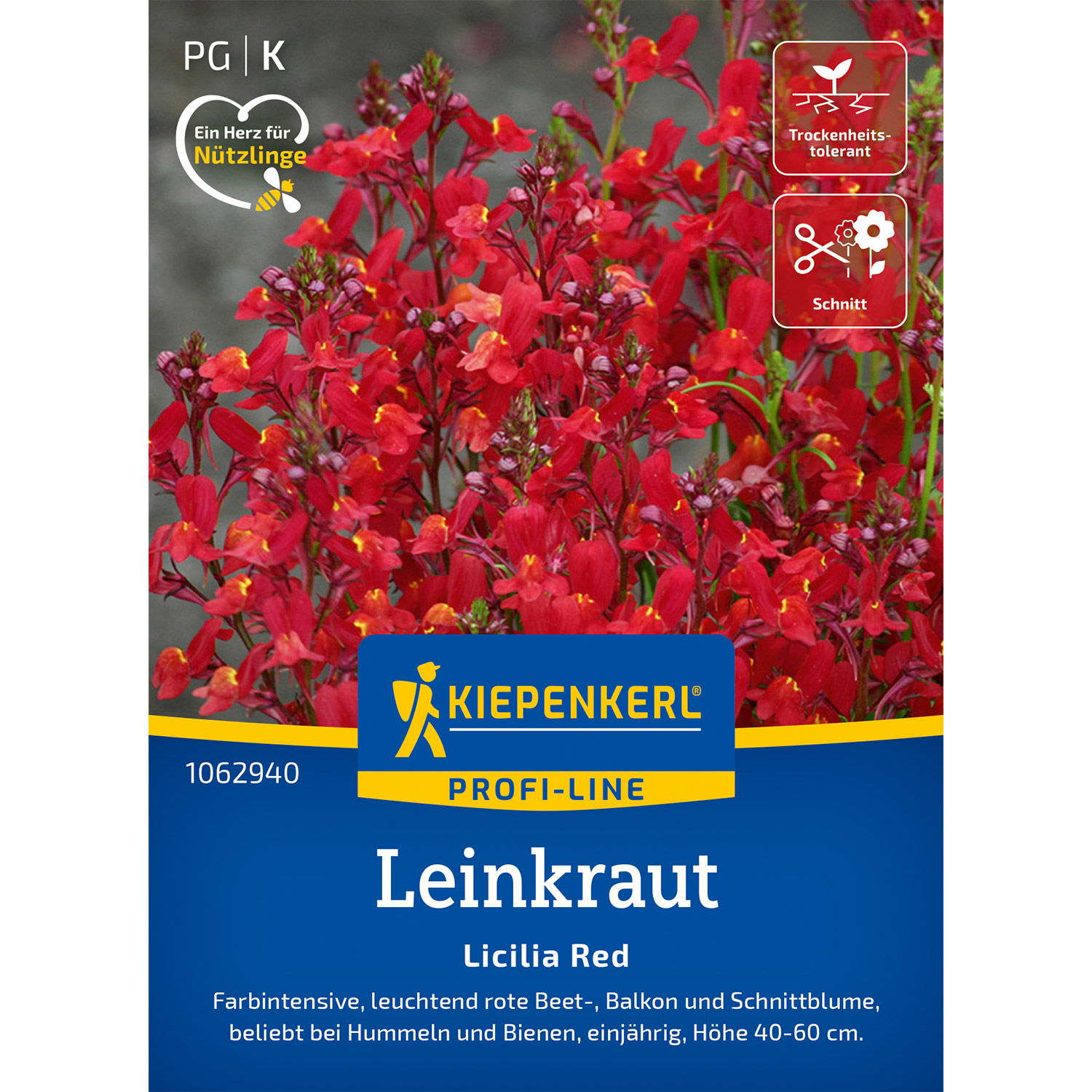 Leinkraut 'Licilia Red' Lieferform: Portionssaatgut