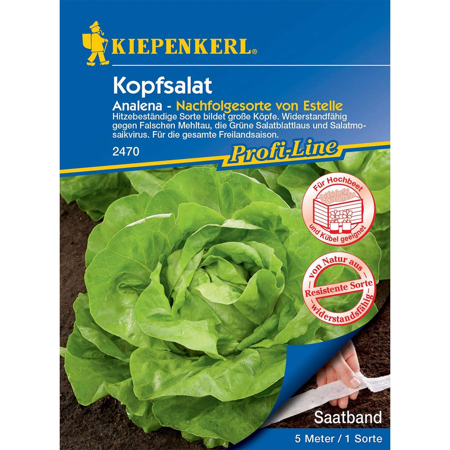 Kopfsalat 'Analena' Powersaat Lieferform: Portionssaatgut