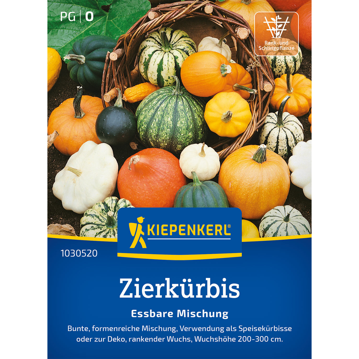 Zwiebel- und Knollenstauden - Zierkürbis 'Essbare Mischung' Lieferform: Portionssaatgut - Cucurbita pepo