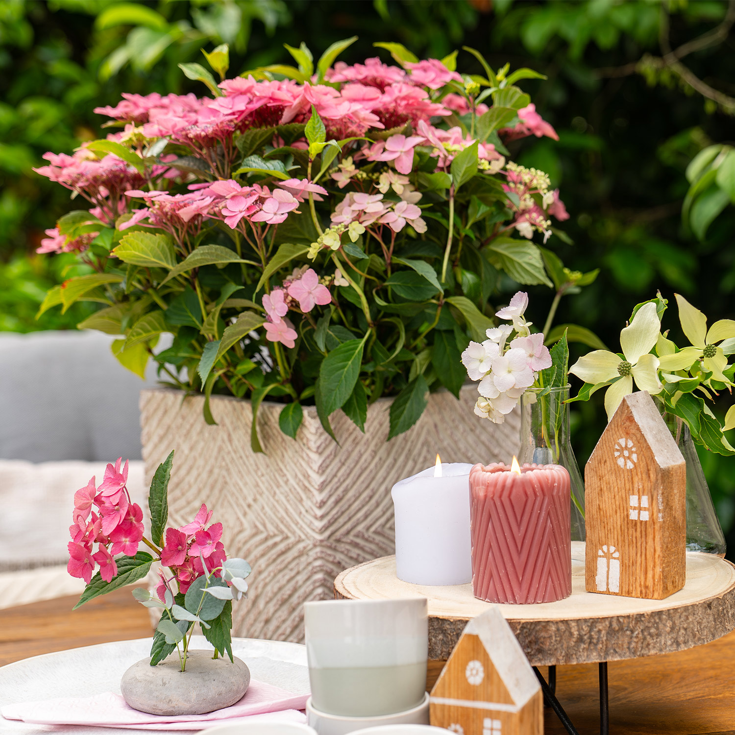 Hortensie 'Bloombuster® Rosa'