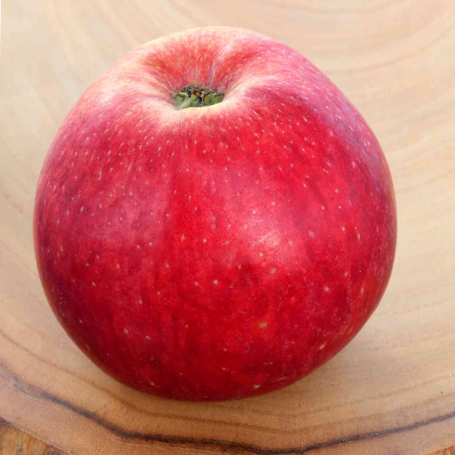 Zwerg-Apfel 'Reanda®' GEVO Zwerg-Apfel 'Reanda®' GEVO