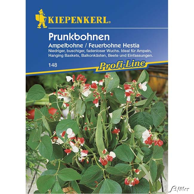 Buschbohne 'Hestia' - Prunkbohne, Ampelbohne Lieferform: Portionssaatgut