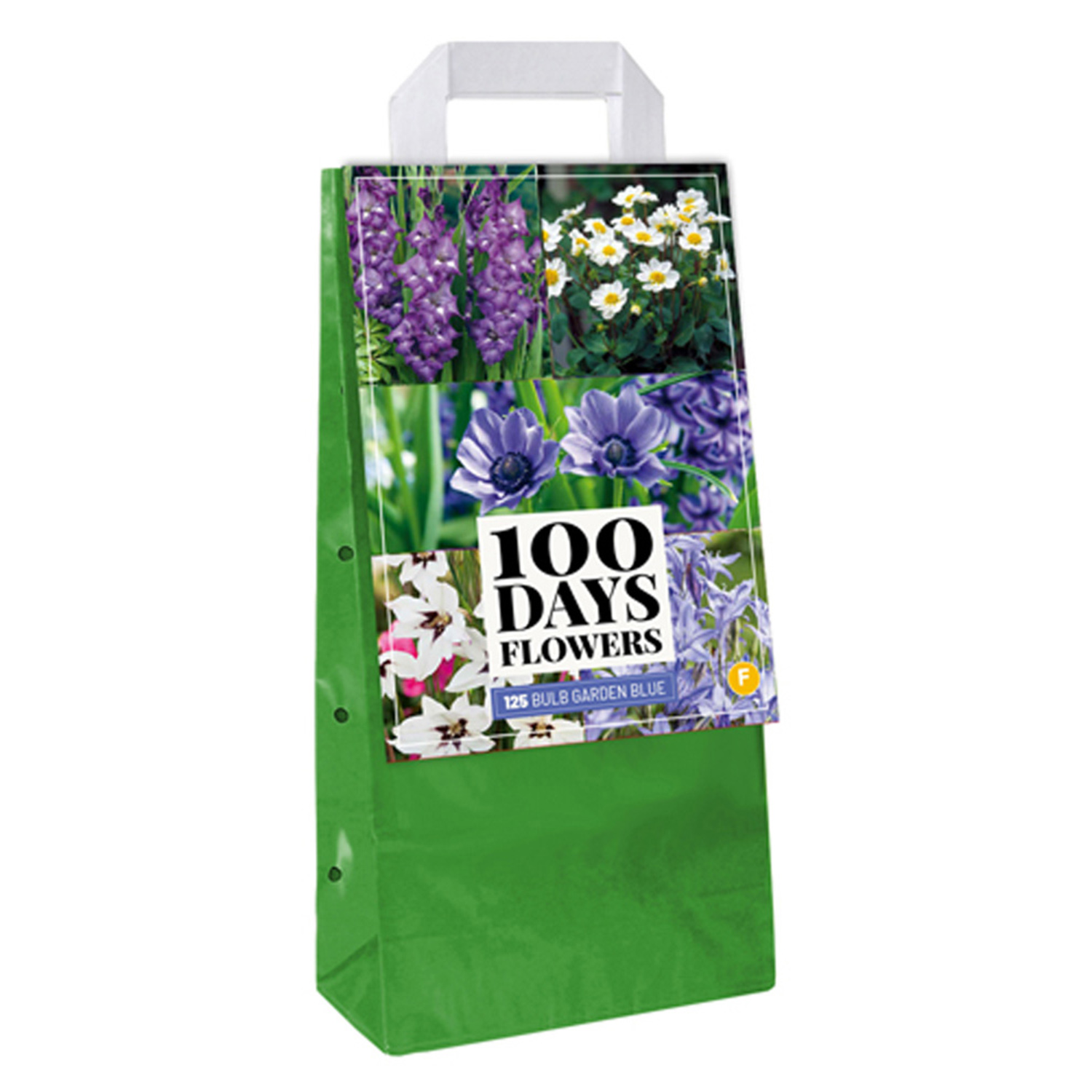 Sommerblumen-Mischung blau-weiß - 125 Stück - Bulb Garden Bag Lieferform: Blumenzwiebelbeutel mit Bildkarte