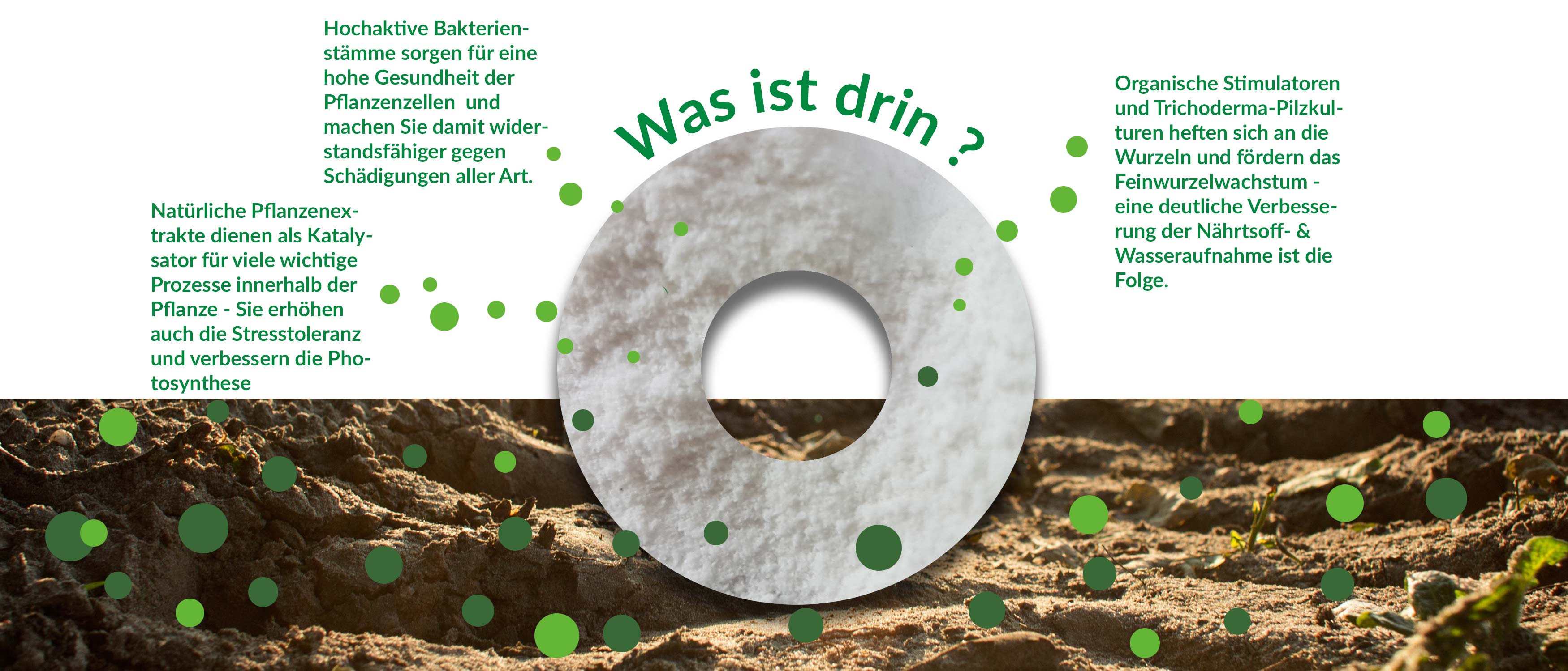 gr-nmacher_banner_3