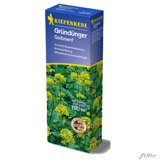 Gelbsenf Portionssaatgut, 1 kg Lieferform: Portionssaatgut
