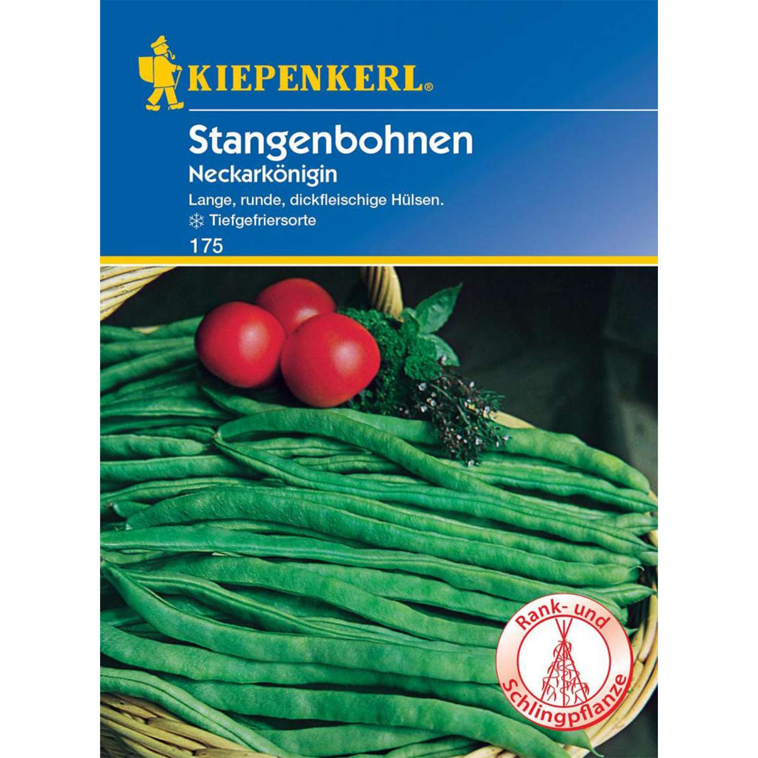 Stangenbohne 'Neckarkönigin' Lieferform: Portionssaatgut