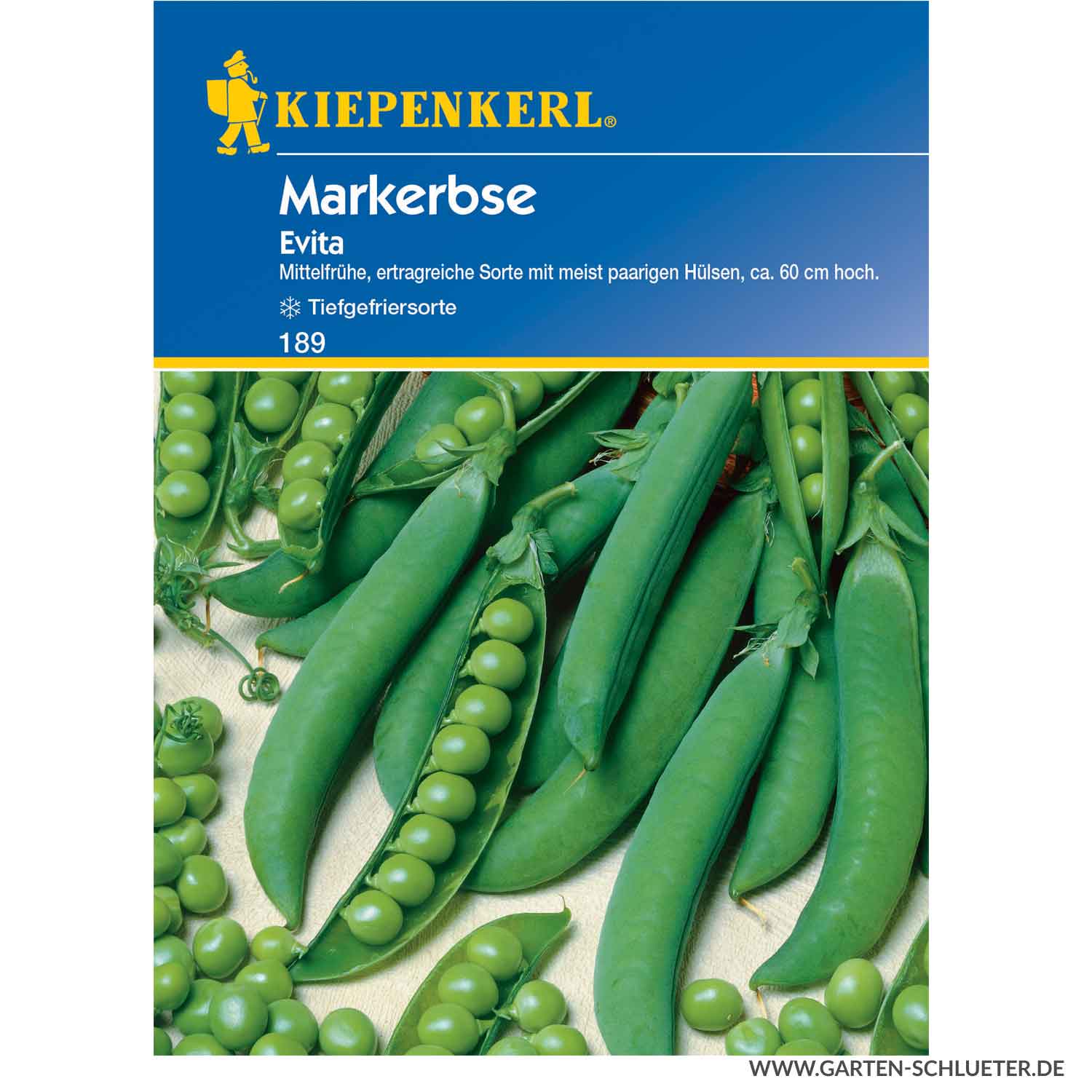 Markerbse 'Evita' Lieferform: Portionssaatgut