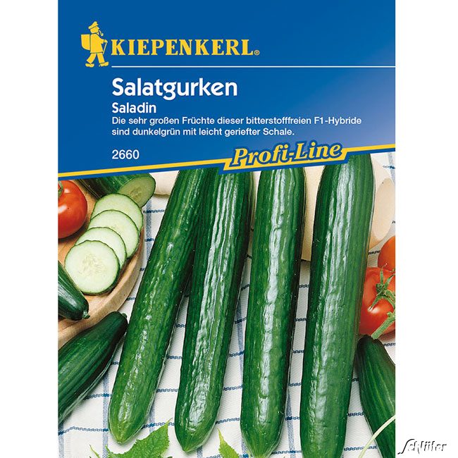 Salatgurke 'Saladin' Lieferform: Portionssaatgut