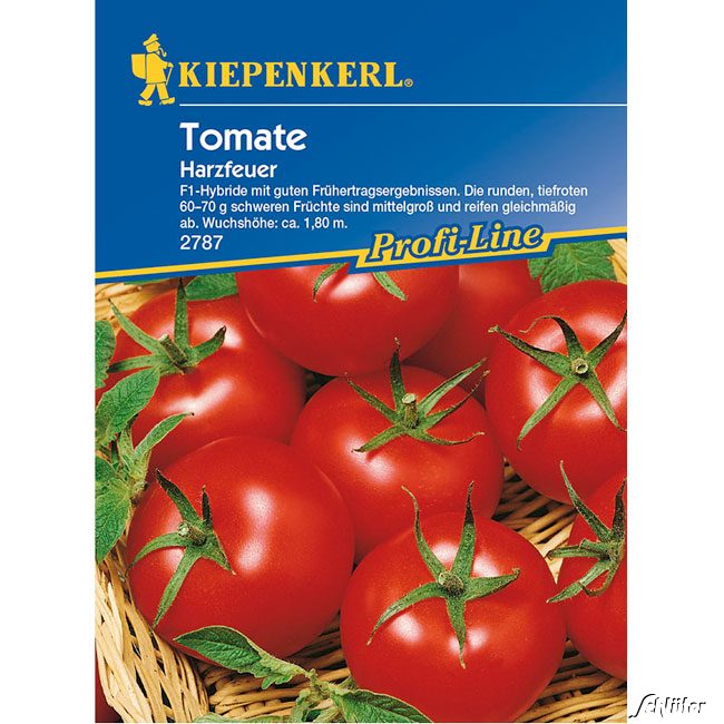 Tomate 'Harzfeuer F1' Lieferform: Portionssaatgut