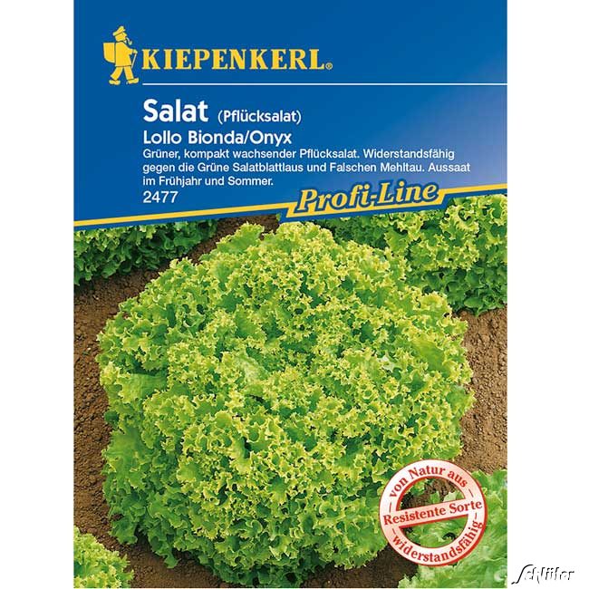 Pflücksalat 'Lollo Bionda' Lieferform: Portionssaatgut