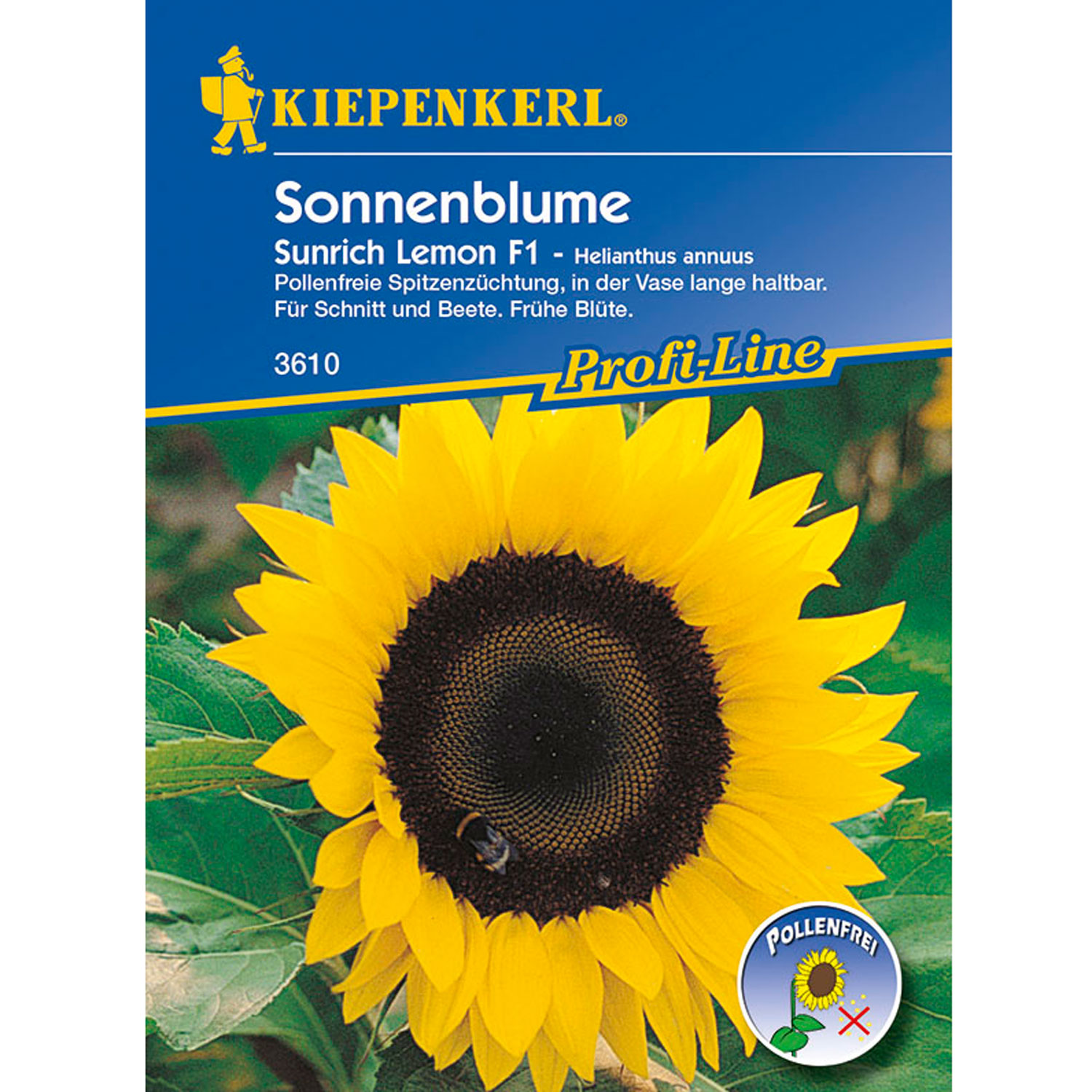 Sonnenblume 'Sunrich Lemon' Lieferform: Portionssaatgut