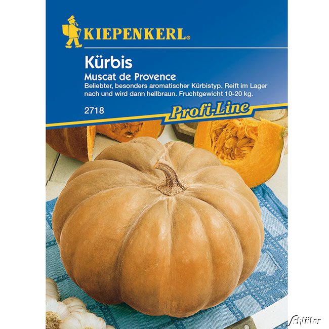 Speisekürbis 'Muscat de Provence' Lieferform: Portionssaatgut