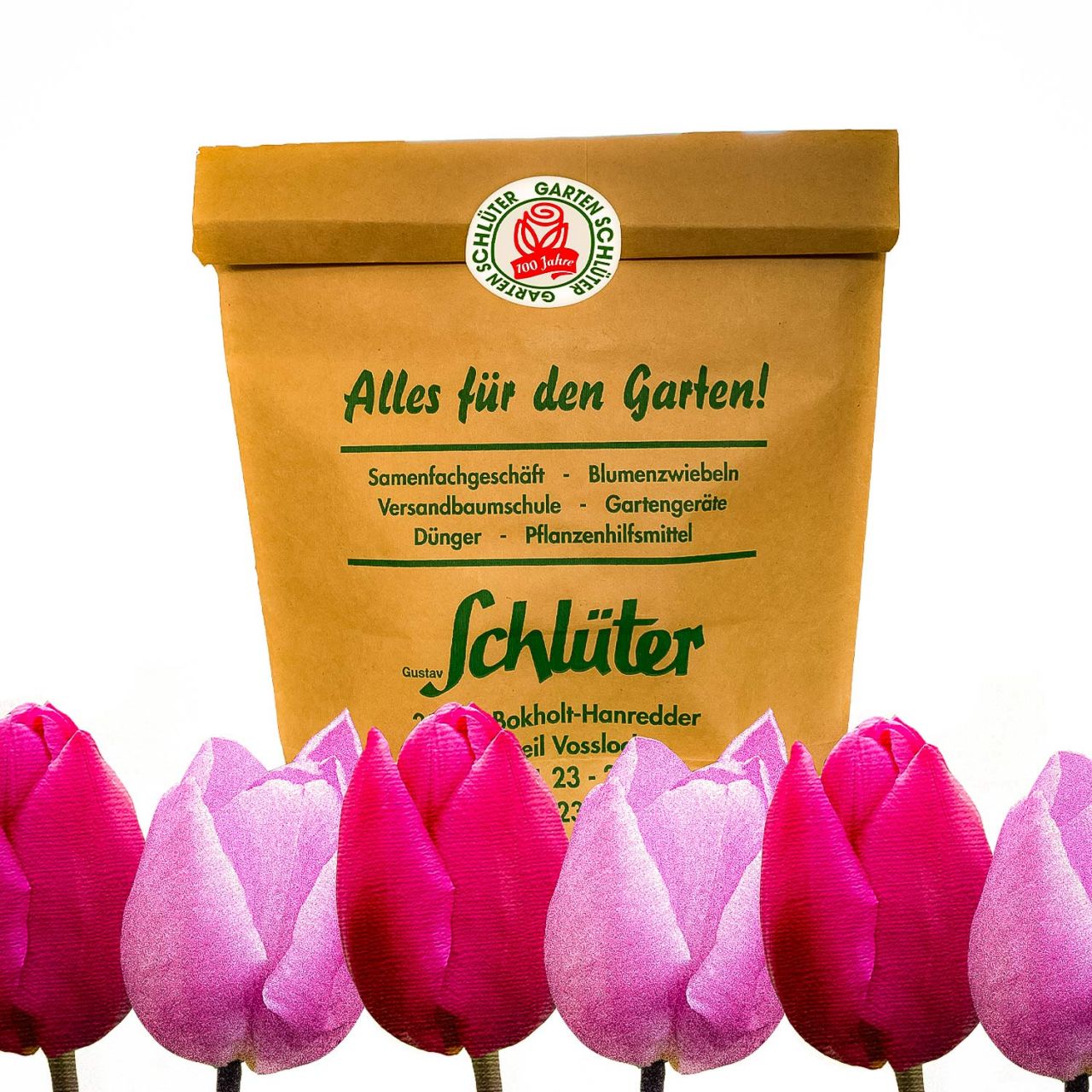 Kategorie <b>Herbst-Blumenzwiebeln </b> - Triumph-Tulpen-Set 'Prinzen Paar' - Tulipa-Set 'Prinzen Paar'