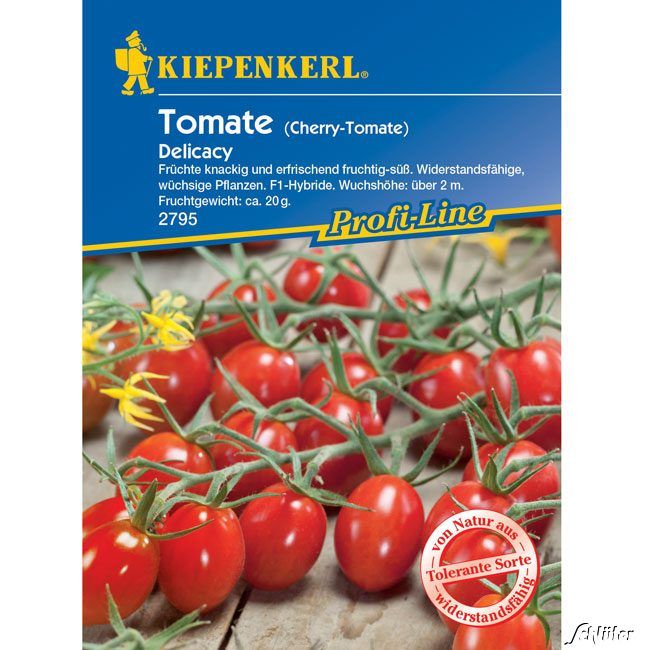 Kategorie <b>Gemüse-Samen </b> - Dattel-Tomate 'Delicacy' F1 - Solanum lycopersicum 'Delicacy'