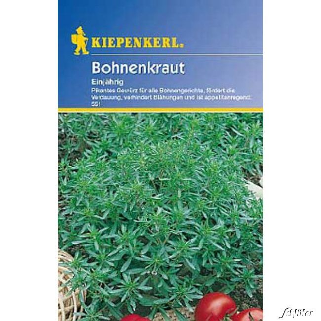 Kategorie <b>Kräuter-Samen </b> - Bohnenkraut, einjährig - Satureja hortensis