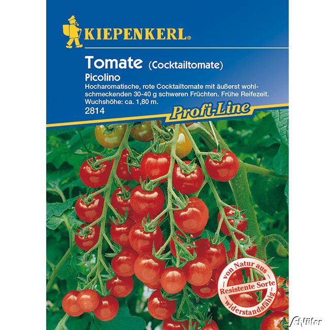 Kategorie <b>Gemüse-Samen </b> - Cocktail-Tomate 'Picolino' F1 - Lycopersicon lycopersicum