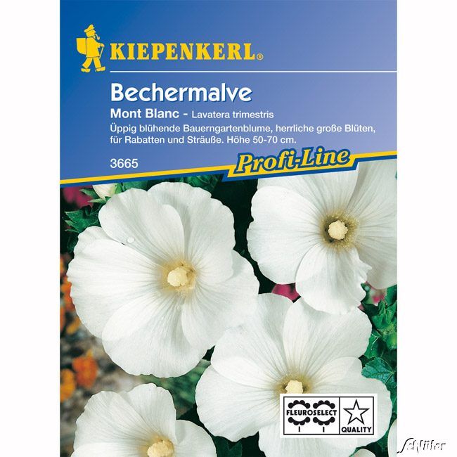 Kategorie <b>Blumensamen </b> - Bechermalve 'Mont Blanc' - Lavatera trimestris