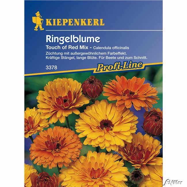 Kategorie <b>Blumensamen </b> - Ringelblumen 'Touch of Red Mix' - Calendula officinalis