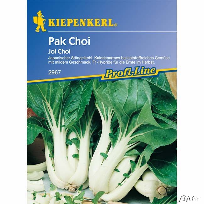Kategorie <b>Gemüse-Samen </b> - Pak Choi 'Joi Choi' - Brassica rapa ssp. Chinensis