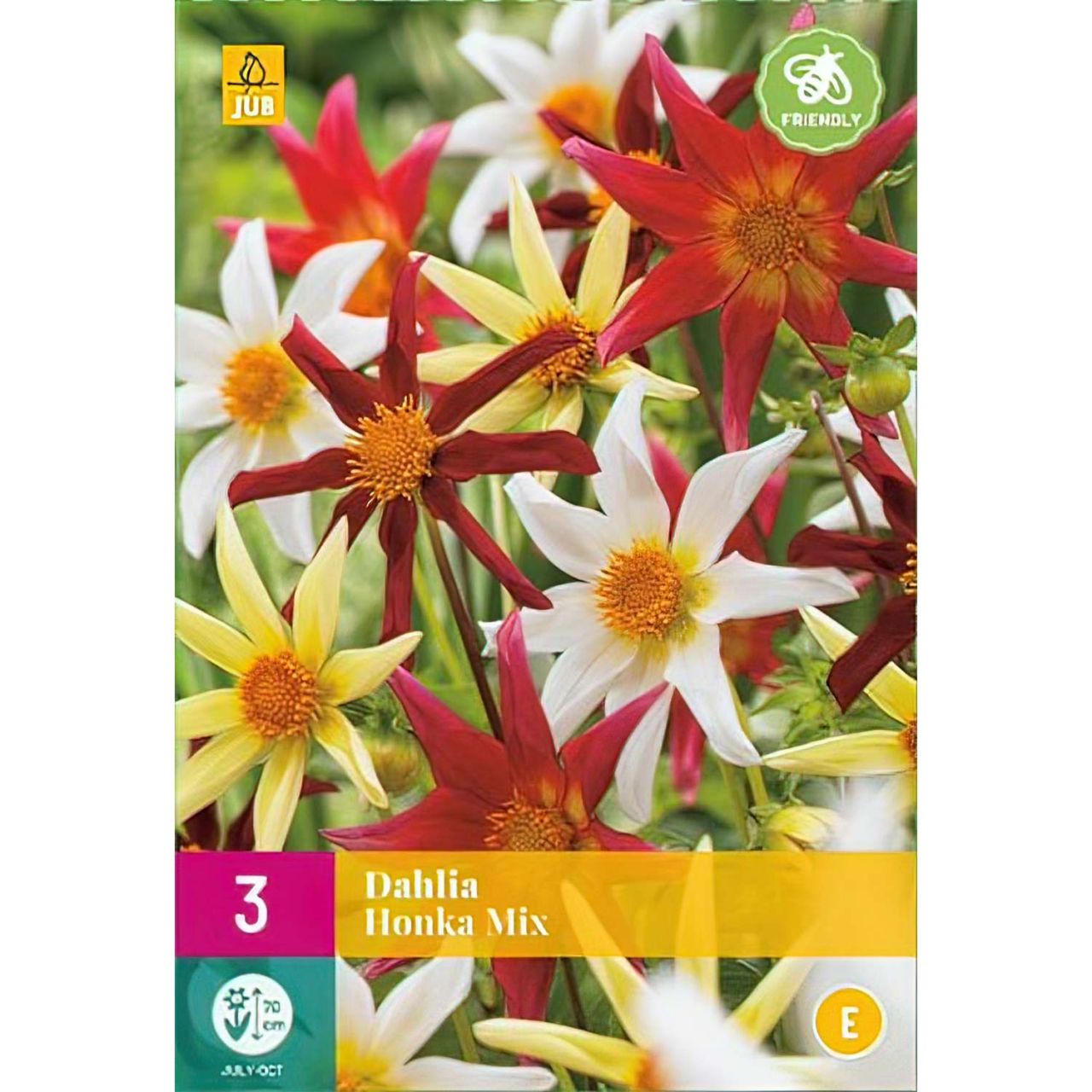 Kategorie <b>Frühlings-Blumenzwiebeln </b> - Dahlien-Mischung 'Honka Mix' - 3 Stück - Dahlia 'Honka Mix'