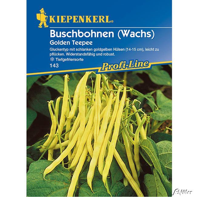 Kategorie <b>Gemüse-Samen </b> - Wachs-Buschbohne 'Golden Teepee' - Phaseolus vulgaris var. nanus 'Golden Teepee'